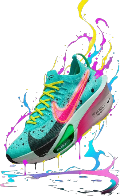 Nike Shoe 3